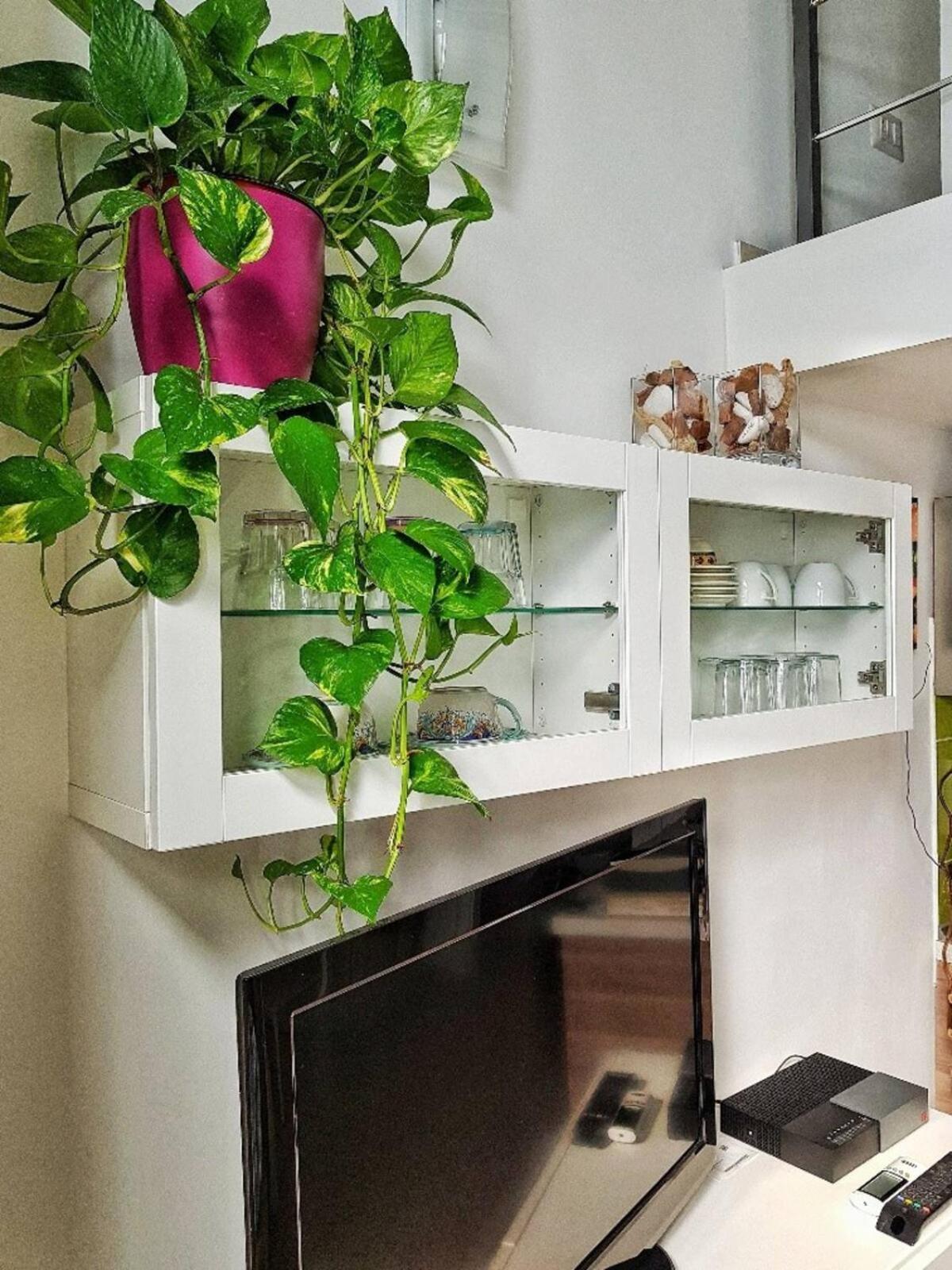 Borgo Santa Caterina - Fiera "Ventotto Holiday Home" Katanya Dış mekan fotoğraf